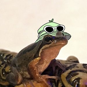 Meet your Posher, Bronte